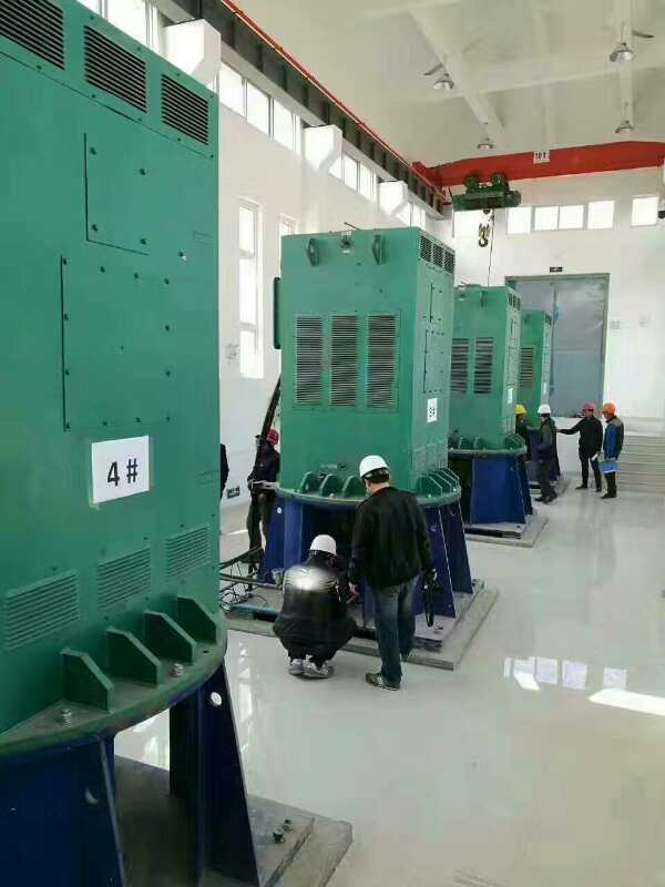 二道江某污水处理厂使用我厂的立式高压电机安装现场